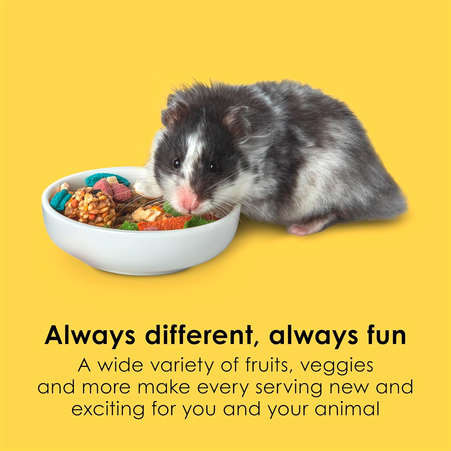 Kaytee Fiesta Hamster & Gerbil Food, Nutritious and Fun Blend, Supports Dental Health and Digestion, 4.5 pounds - Image 3