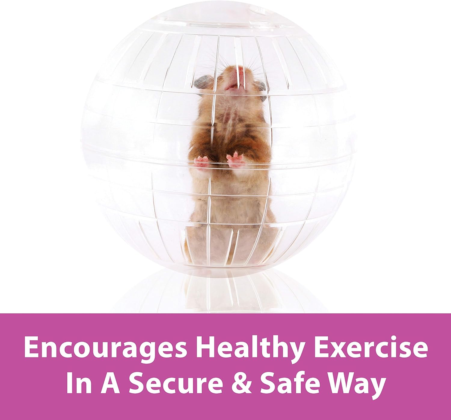 Kaytee 11.5" Clear Run-About Exercise Ball For Pet Rats & Chinchillas - Image 5