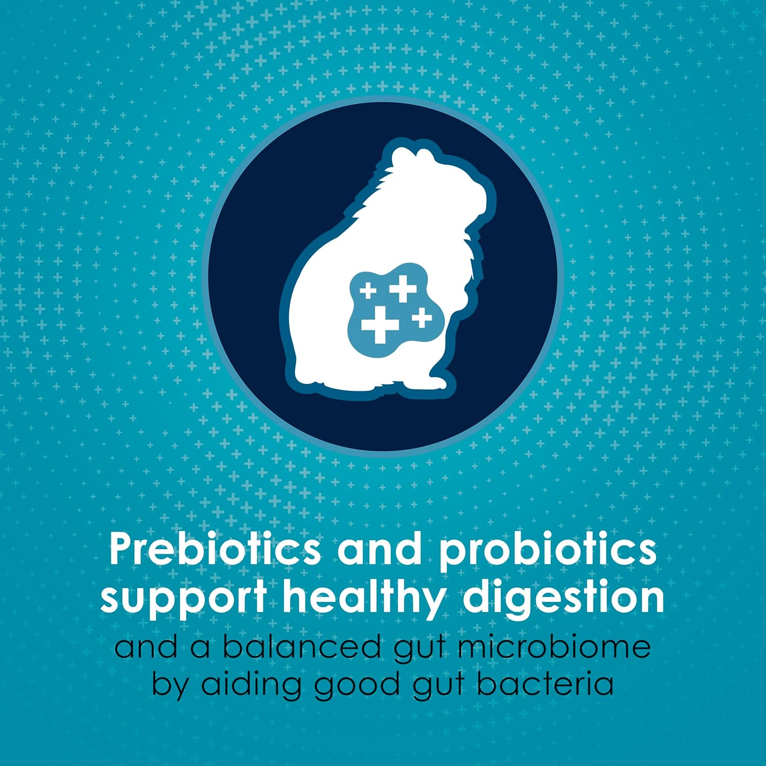 Kaytee Forti-Diet Pro Health Nourish+Protect Hamster and Gerbil Food, Comprehensive Nutrition Backed by Science, Digestive Health, Immune Support, 3 Pounds - Image 5