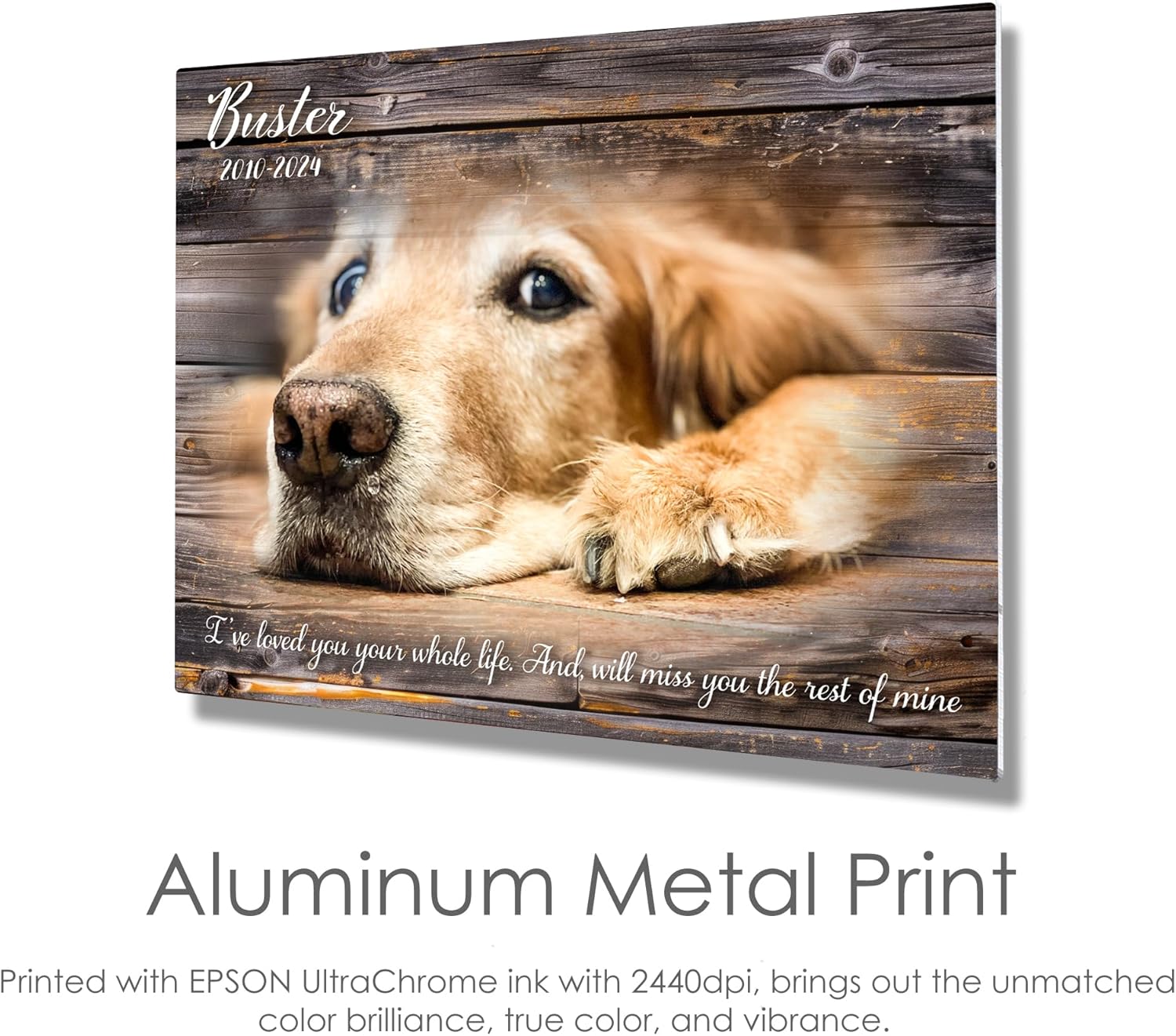 MUNDAZE Custom Pet Portrait Memorial Photo – Personalized Dog or Cat Loss Gift – Glossy Metal Print with Your Pet’s Photo – Sympathy Keepsake – Made and Shipped in USA - Image 4