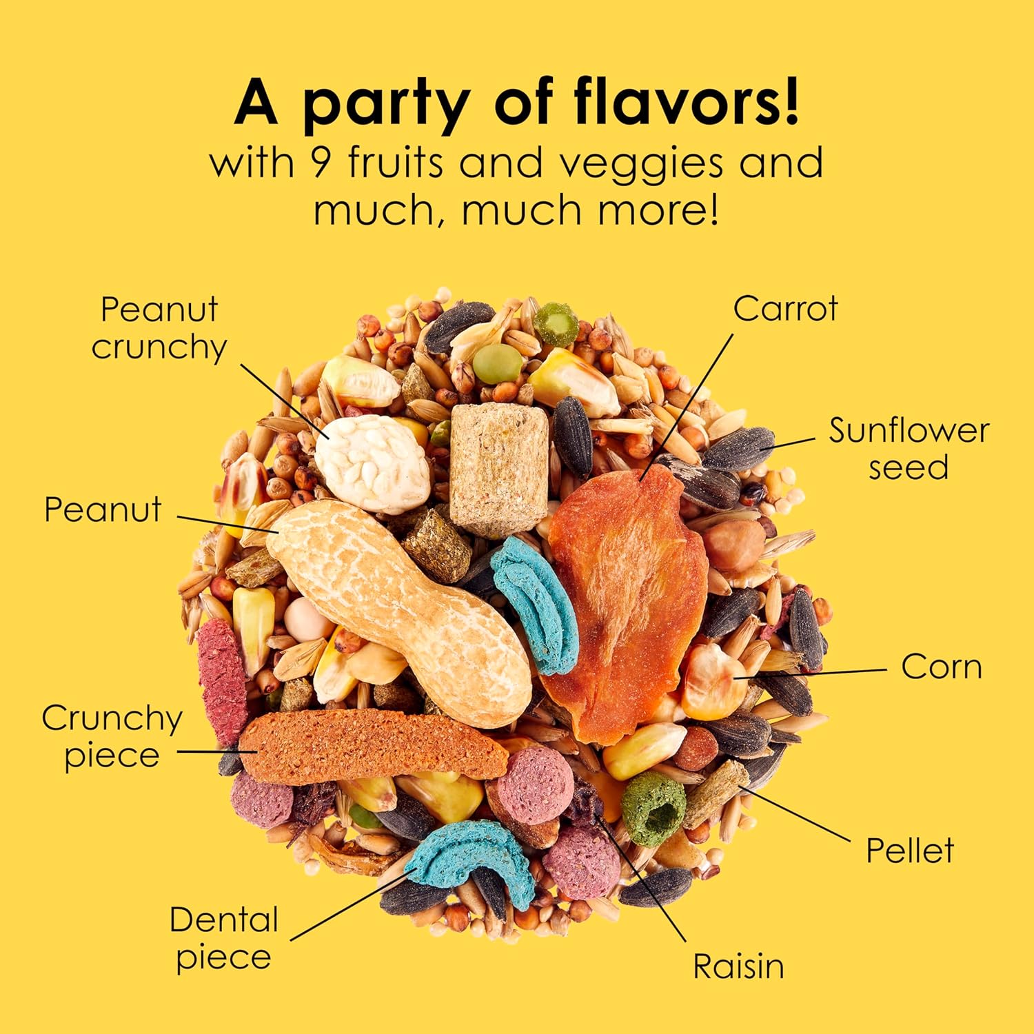 Kaytee Fiesta Mouse & Rat Food, Nutritious and Fun Blend, Supports Dental Health and Digestion, 2 pounds - Image 7