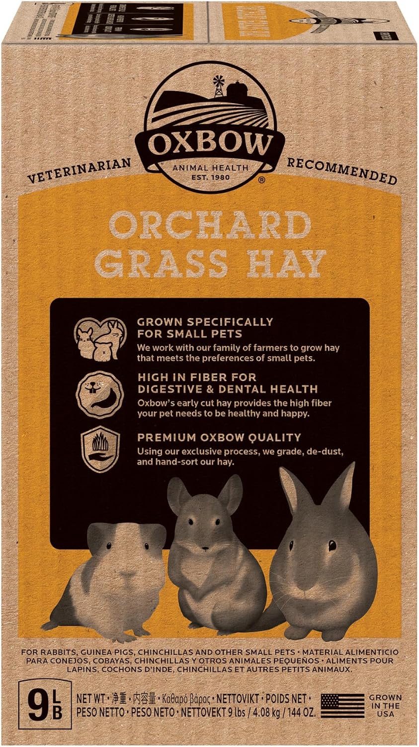 Oxbow Animal Health Orchard Grass, Guinea Pig Hay, Rabbit Hay, Small Pet Bunny Supplies, All Natural Grass for Guinea Pig, Bunny, Chinchilla & Hamster, Oxbow Rabbit Supplies for Bunnies, 9 lb. box - Image 7