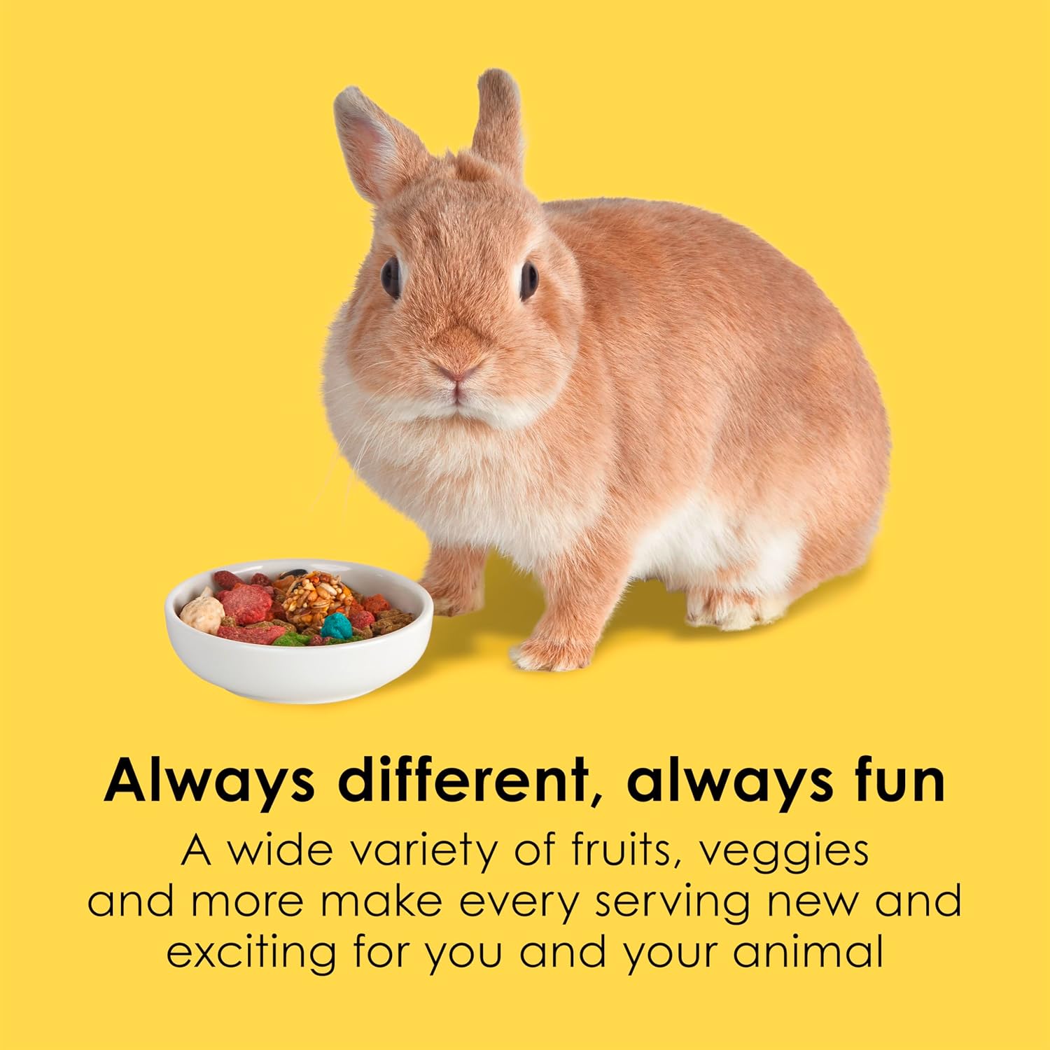 Kaytee Fiesta Rabbit Food, Nutritious and Fun Blend, Supports Dental Health and Digestion, 3.5 pounds - Image 3