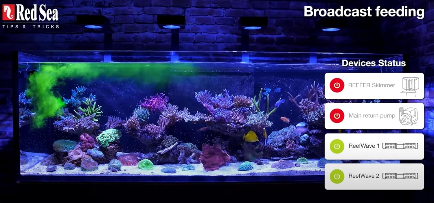 Red Sea Reef Energy Plus 500ml (AB+) All in One Coral Food for Saltwater Aquarium Marine Reef Tanks | Food for Soft, LPS, SPS, and Non-Photosynthetic Corals - Image 7