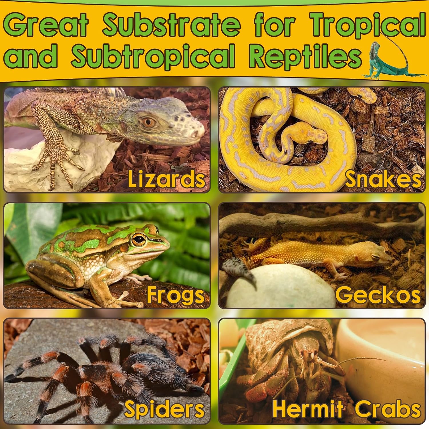 Halatool Organic 10LB Coconut Husk for Reptiles | Expands to 72 Quarts, Natural Coconut Bedding for Snakes, Tortoises, Ball Pythons, Geckos, Lizards - Image 6
