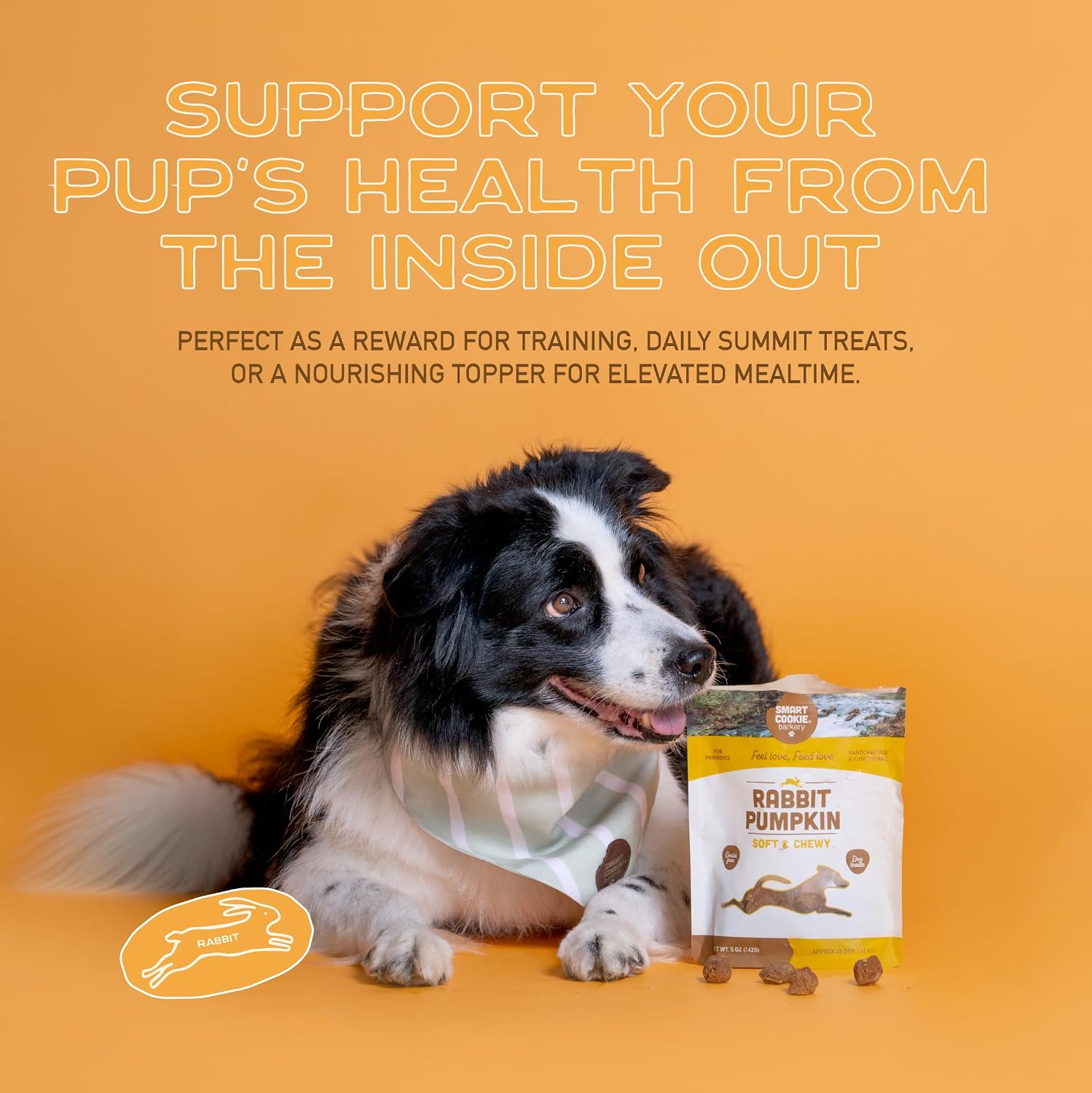 Smart Cookie Healthy Soft Dog Treats - Rabbit & Pumpkin - Grain Free Limited Ingredient Training Treats for Dogs with Sensitive Stomach & Allergies, Natural Novel Protein, Made in the USA (5oz.) - Image 7