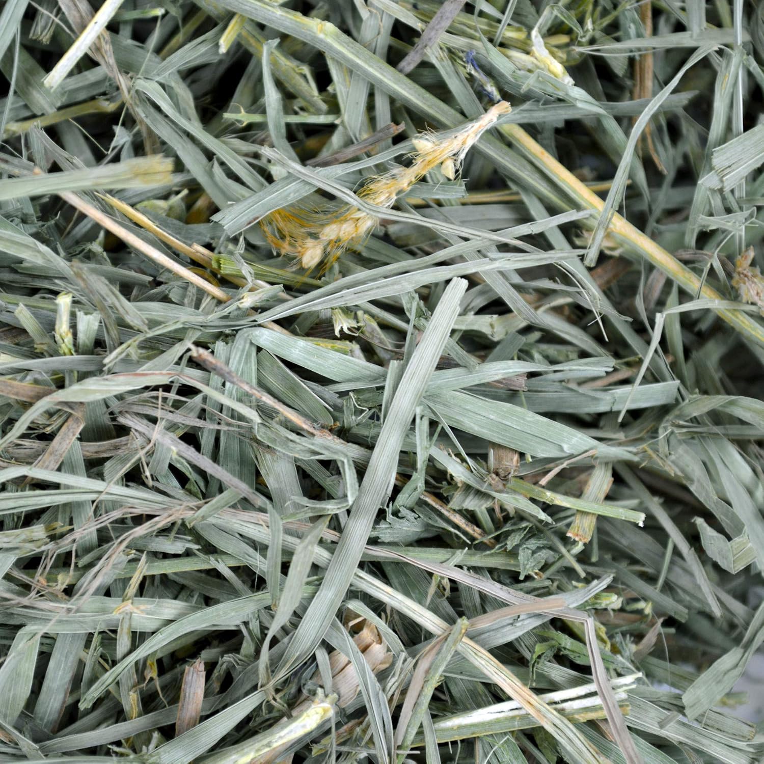 Oxbow Organic Meadow Hay, Guinea Pig & Rabbit Hay, Small Pet Bunny Supplies, All Natural Grass for Guinea Pig, Bunny, Chinchilla & Hamster, Rabbit Supplies for Bunnies, 40 oz Bag - Image 6