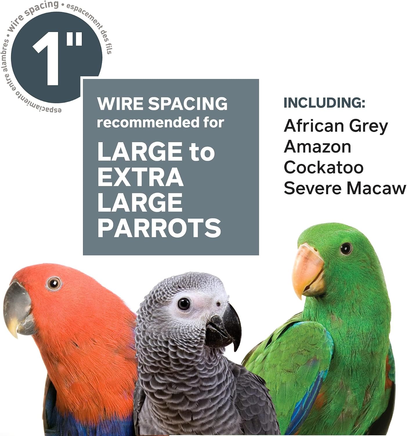 Prevue Pet Products Imperial Extra Large Stainless Bird Cage - Big Birdcage Ideal for Parrots, Cockatoos, Macaws, Included Perch and Cups, Durable Cage with Wheels - Gray, Extra Large - Image 9