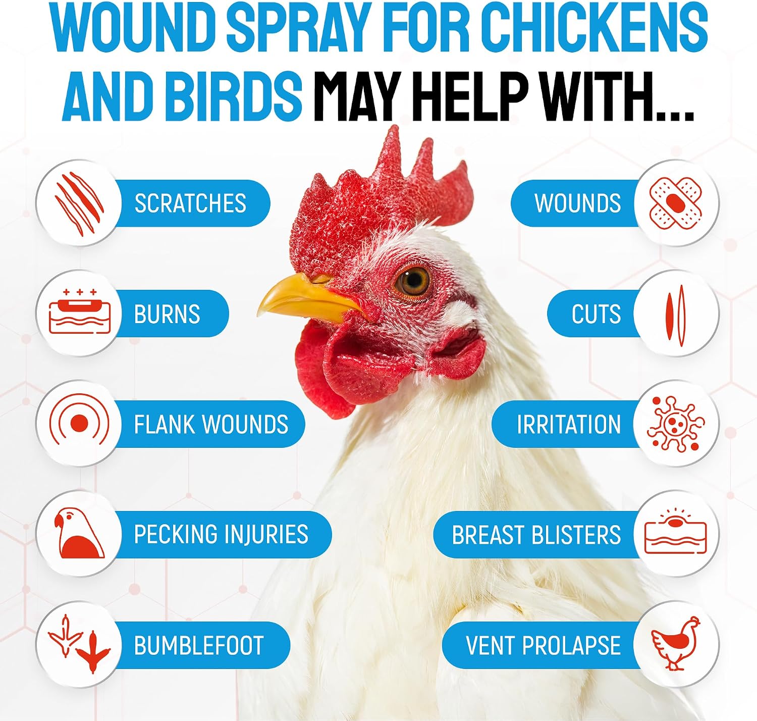 SILVER GRADE Wound Spray for Chicken – Birds & Chicken Antibiotics Alternative to Help with Pecking Sores, Bumblefoot, Cuts – Poultry Spray with Silver – GMOs Free – 4-Oz Bottle - Image 2