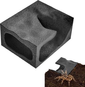 Jumping Spider & Tarantula Sli...