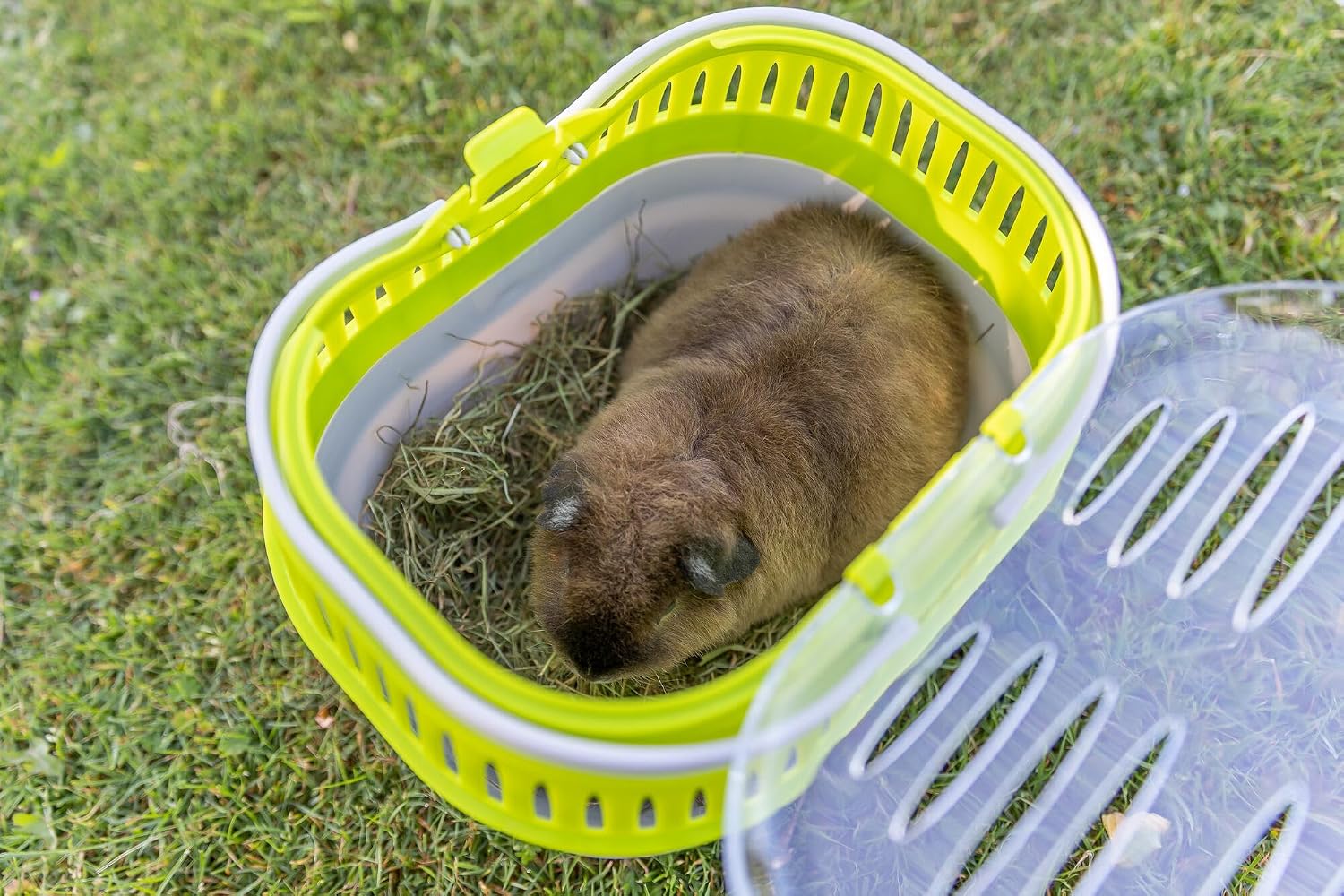 Trixie Pico Transport Crate - Portable Pet Carrier Great for On-The-Go - Traveling Cage for Small Pets, Hamsters, Guinea Pigs, Lizards, and More | Portable Pet Carrier, Ideal for On-The-Go, Traveling Cage for Small Pets, Hamsters, Guinea Pigs, Lizards - Image 3