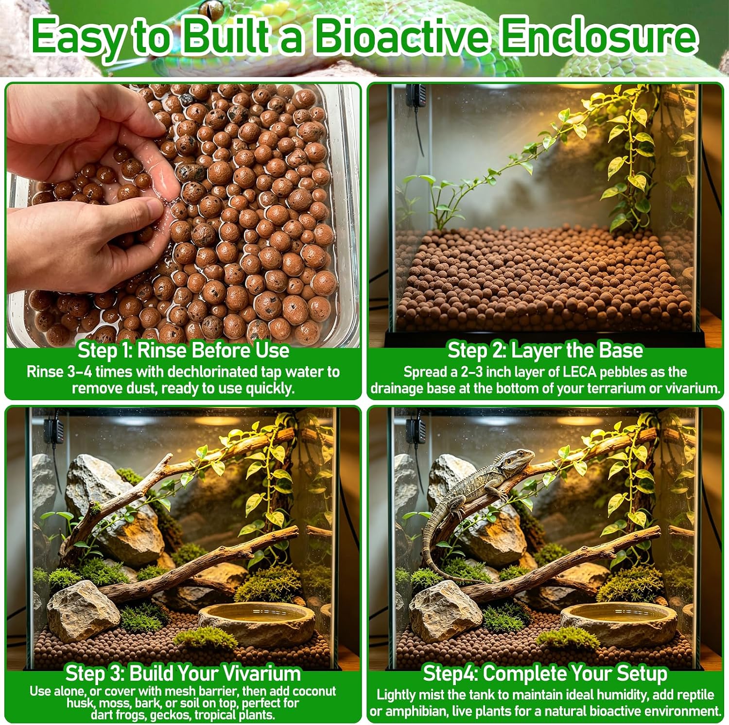 Riare 4LBS Expanded Clay Balls Terrarium Substrate for Reptiles - 100% Organic Lightweight Clay Pebbles Substrate Frogs False Bottom Substrate, Bioactive Terrarium Substrate for Drainage and Moisture - Image 4
