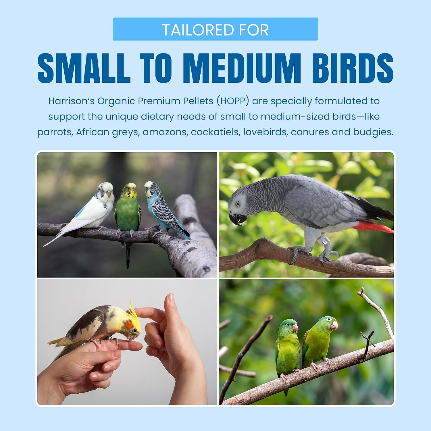 Harrison's Organic Premium Pellets- a Well-Balanced, Certified Organic Small to Medium Pet Bird Diet—No Soy, Corn, and Peanuts for Those Seeking to Avoid These Ingredients - Image 6