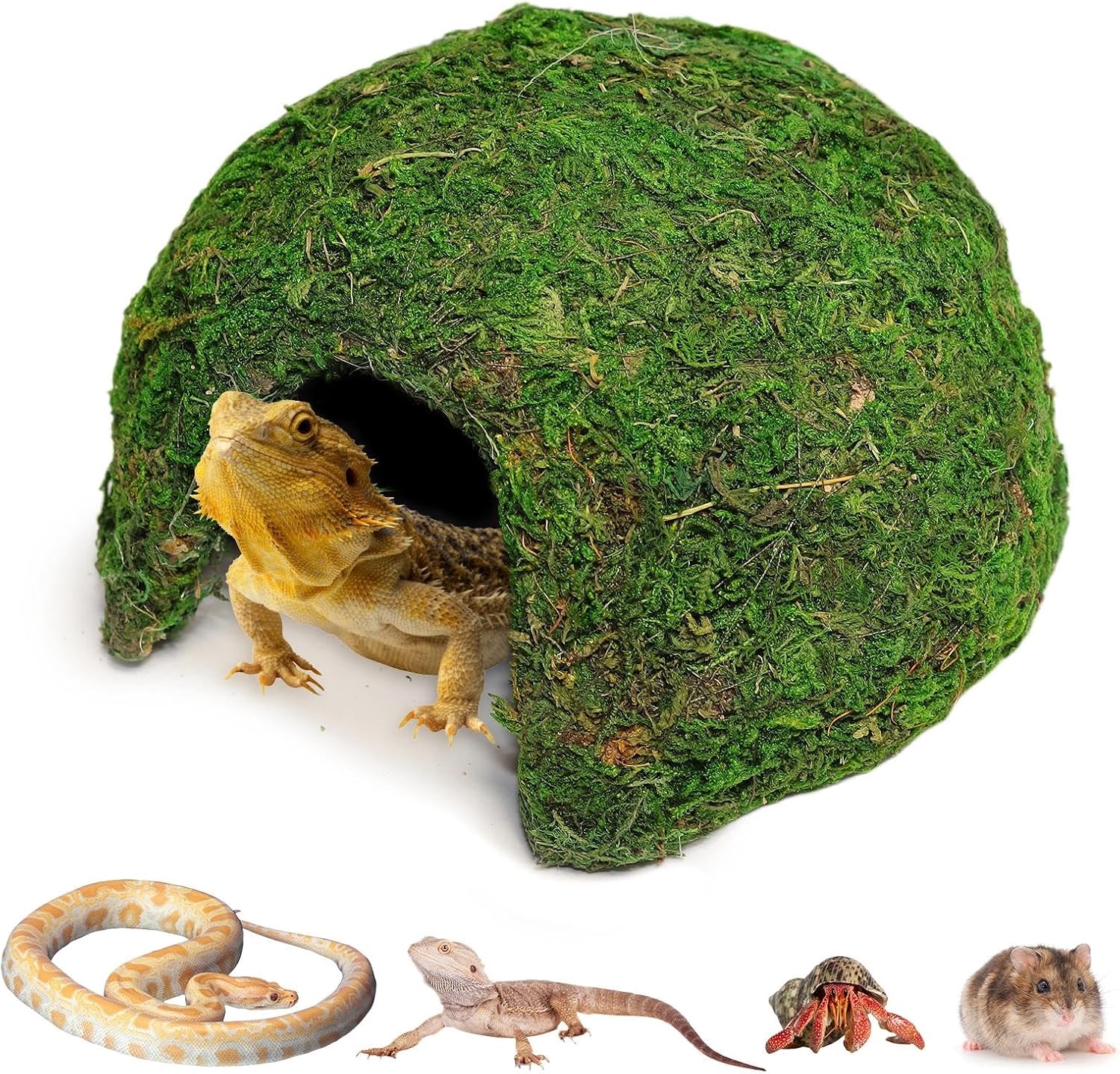Reptile Moss Hideout, Half Round Cave for Lizards Snakes Frogs | Reptile Moss Hideout, Half-round dome shape, Full moss exterior coverage, Spacious interior room, Stable on all substrates