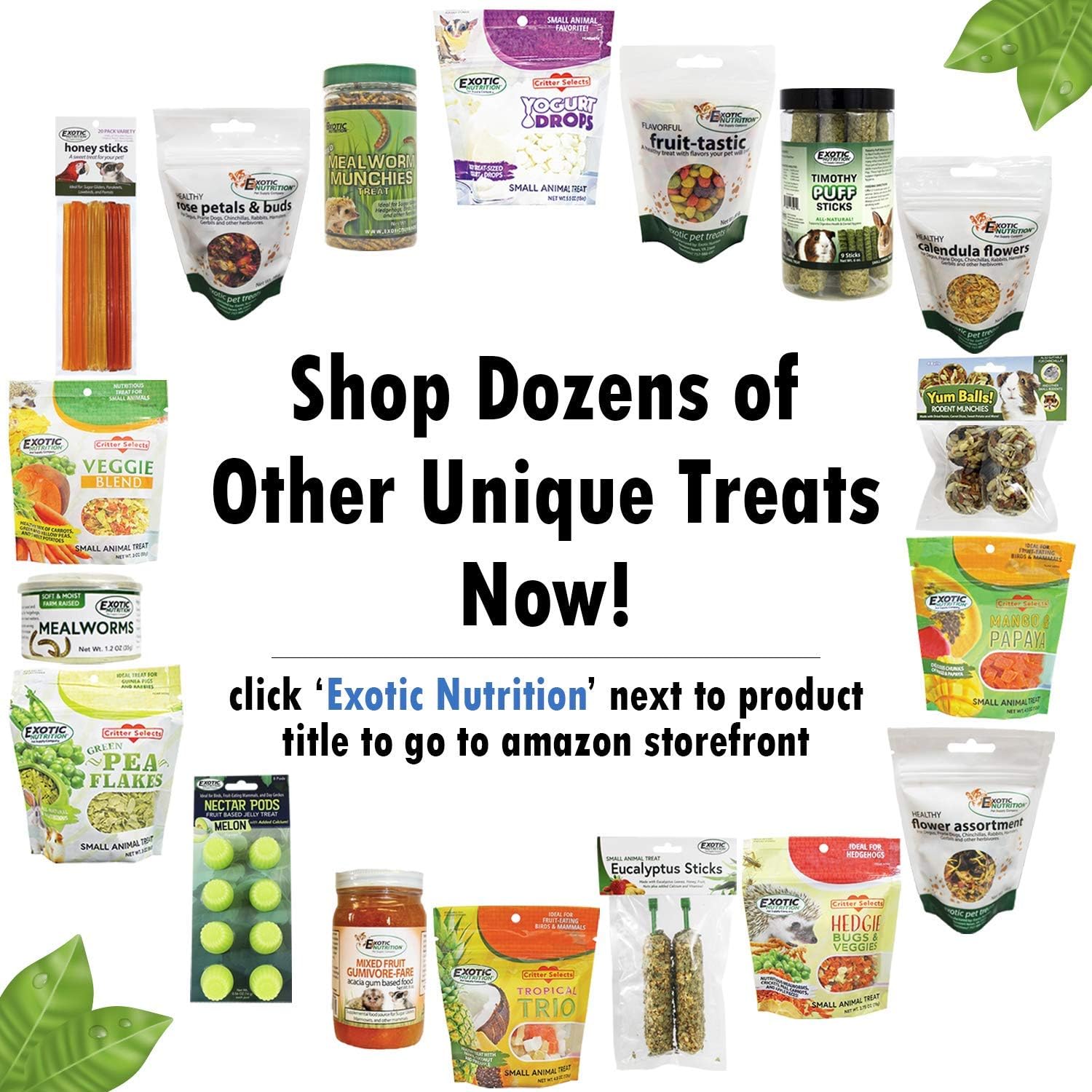 Treat Assortment 3 Pack - Pet Treats with Mix of Dried Fruits, Dried Insects, & Other Crunchies - for Sugar Gliders, Hedgehogs, Squirrels, Rabbits, Marmosets, Rats, Hamsters - Sample Variety - Image 4