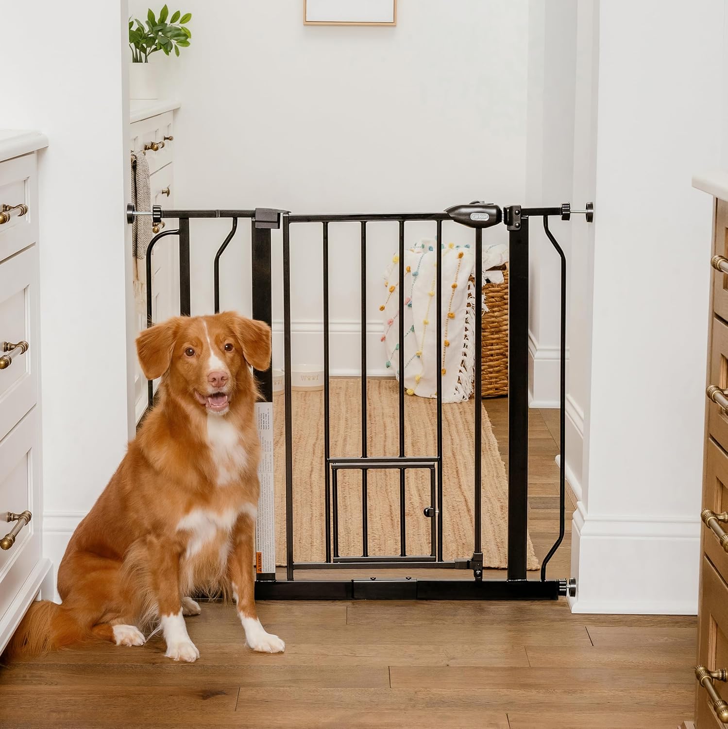 Carlson 29.5–36.5” Extra Wide Dog Gate with Small Pet Door, Walk-Through Pressure Mounted Metal Indoor Pet Safety Gate, Black, Tested and Trusted by Pet Parents, American Designed, American Owned