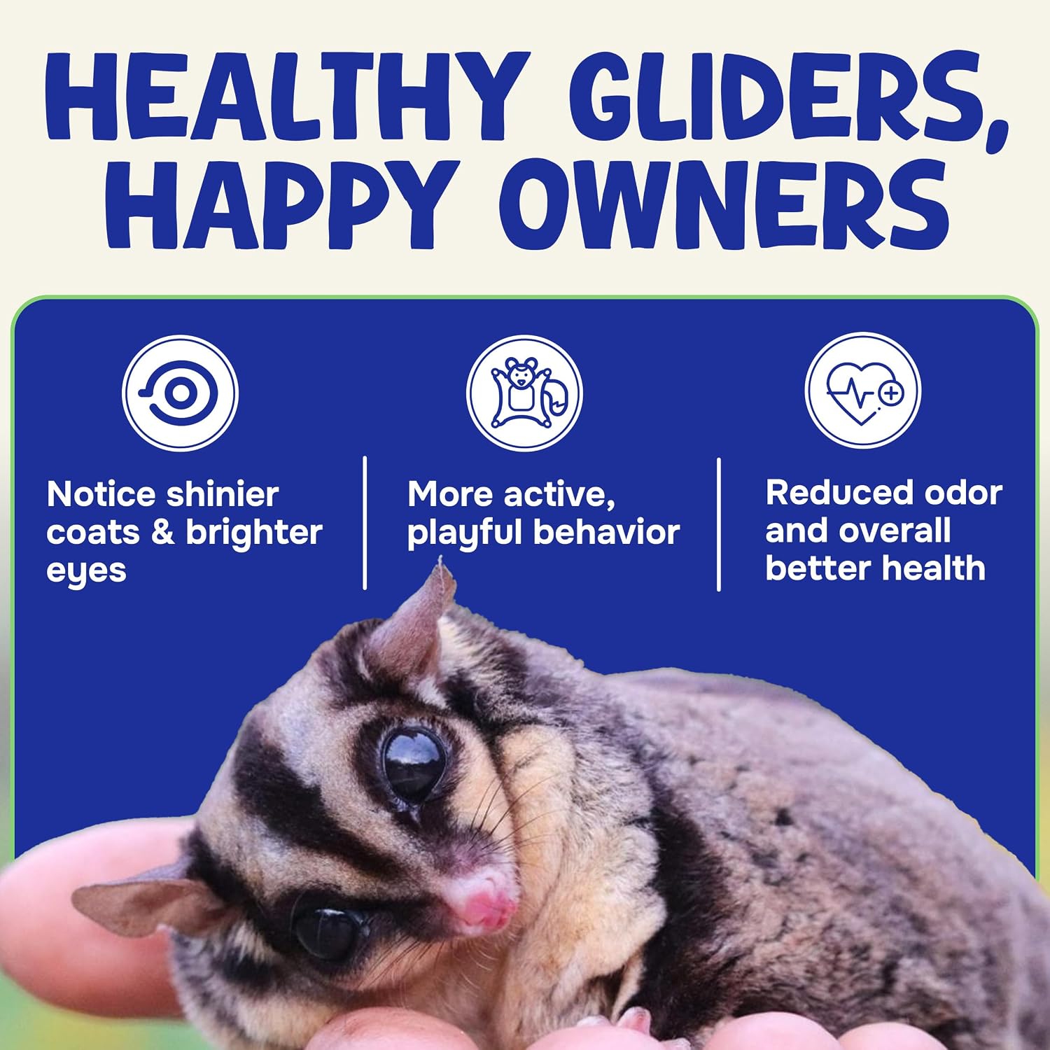Happy Glider Premium Sugar Glider Food - High Protein, Calcium, Vitamins and Minerals, Complete Nutrition for Small Animals and Exotic Pets, 2 Months Supply - Fruity, 1.5 lbs - Image 6
