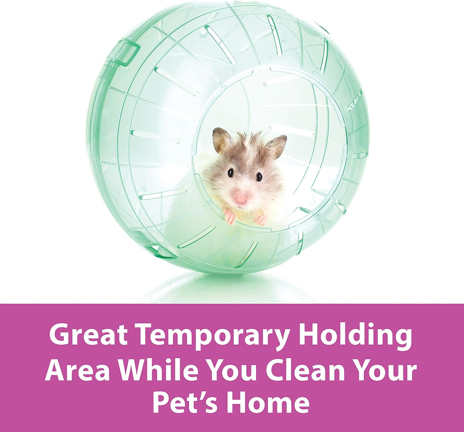 Kaytee 11.5" Clear Run-About Exercise Ball For Pet Rats & Chinchillas - Image 7
