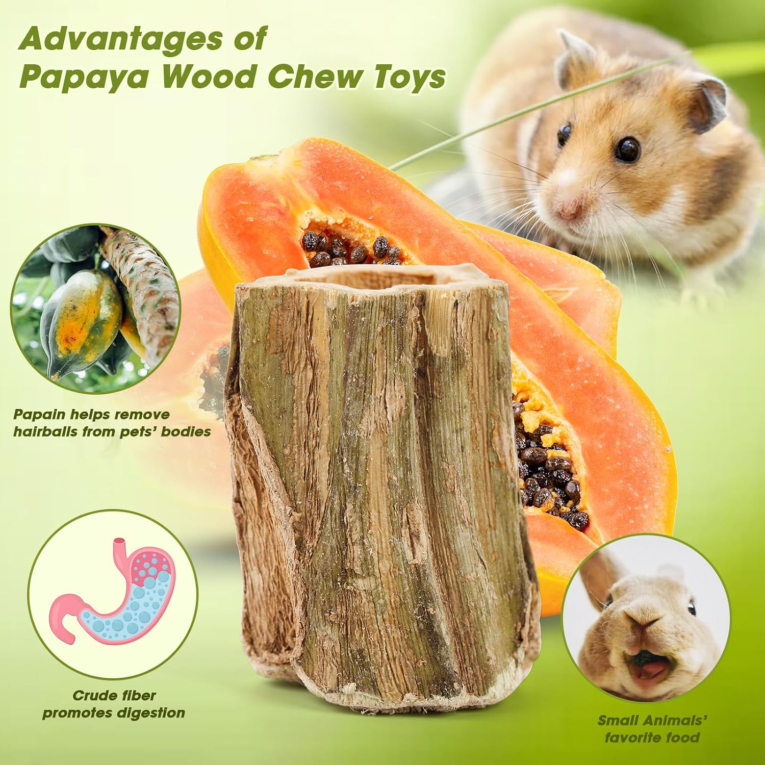 Abizoo Natural Bunny Chew Toys,6 Pcs Organic Papaya Wood Sticks Chew Toys for Rabbit,Hamster,Guinea Pig,Chinchilla,Gerbil,Rat Healthy Chews Teeth Grinding Treats, Squirrel Molar Snack - Image 5