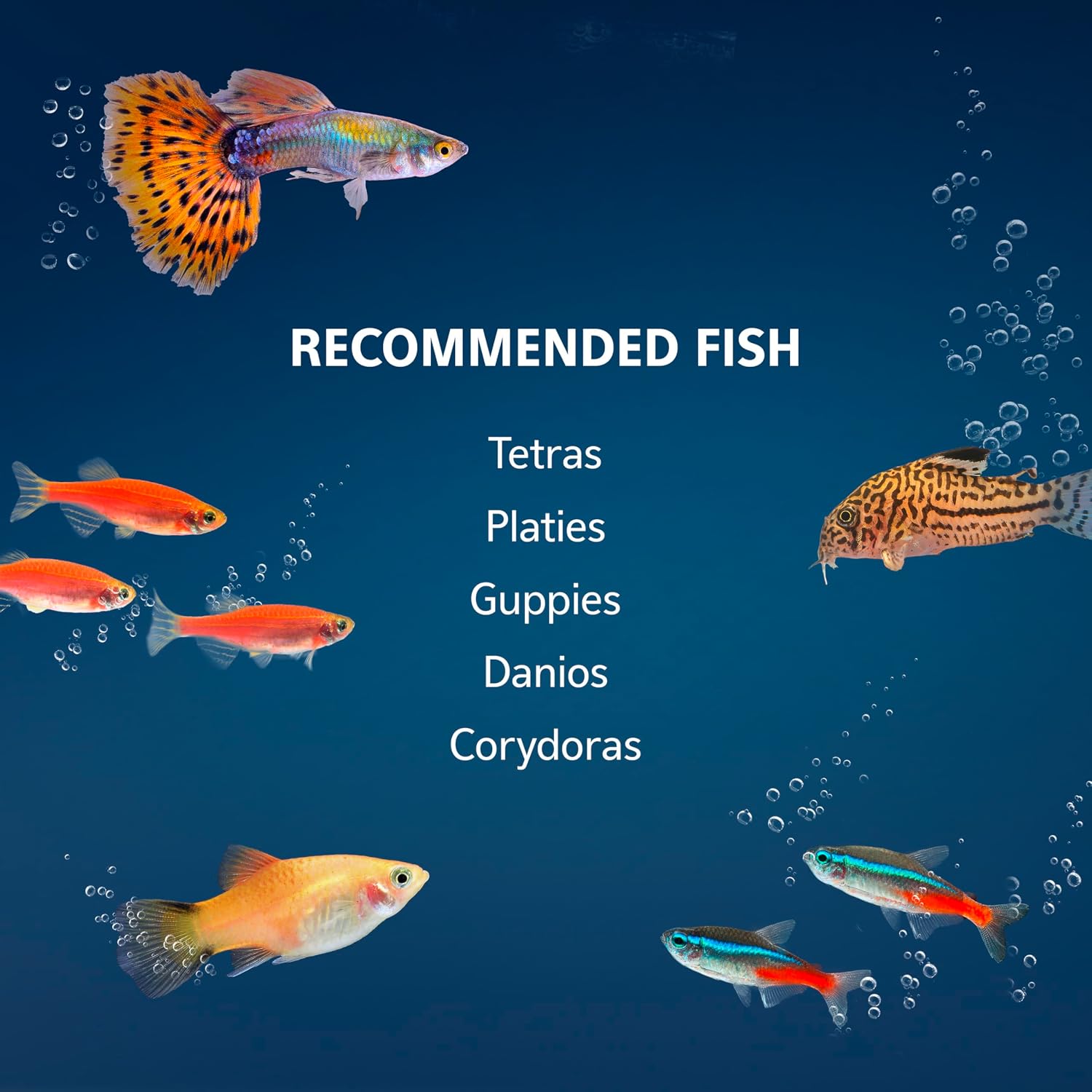Aqueon Aquarium Starter Kit with Smart Clean Filtration and LED Lighting, Freshwater and Saltwater Fish, Perfect for Tetras, Guppies, Platies, 10-Gallon - Image 7