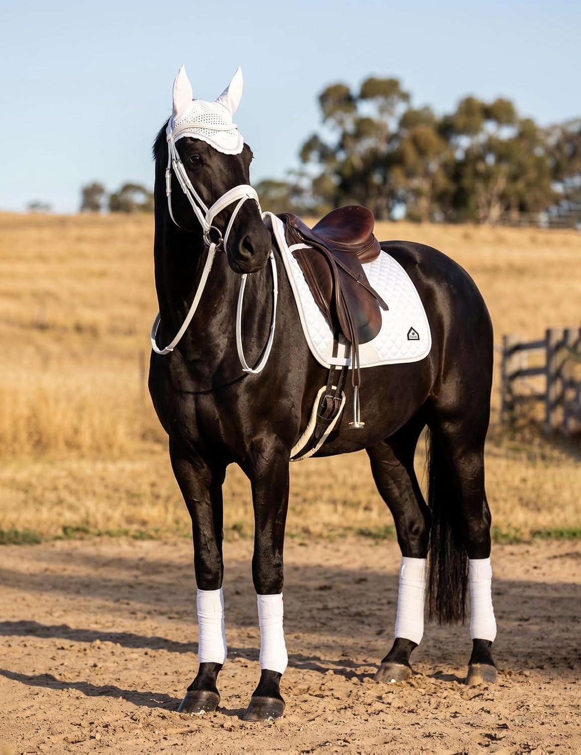 FitsT4 Sports Saddle Pads for Horses Breathable English Half Pad Shock Absorbing - Image 5