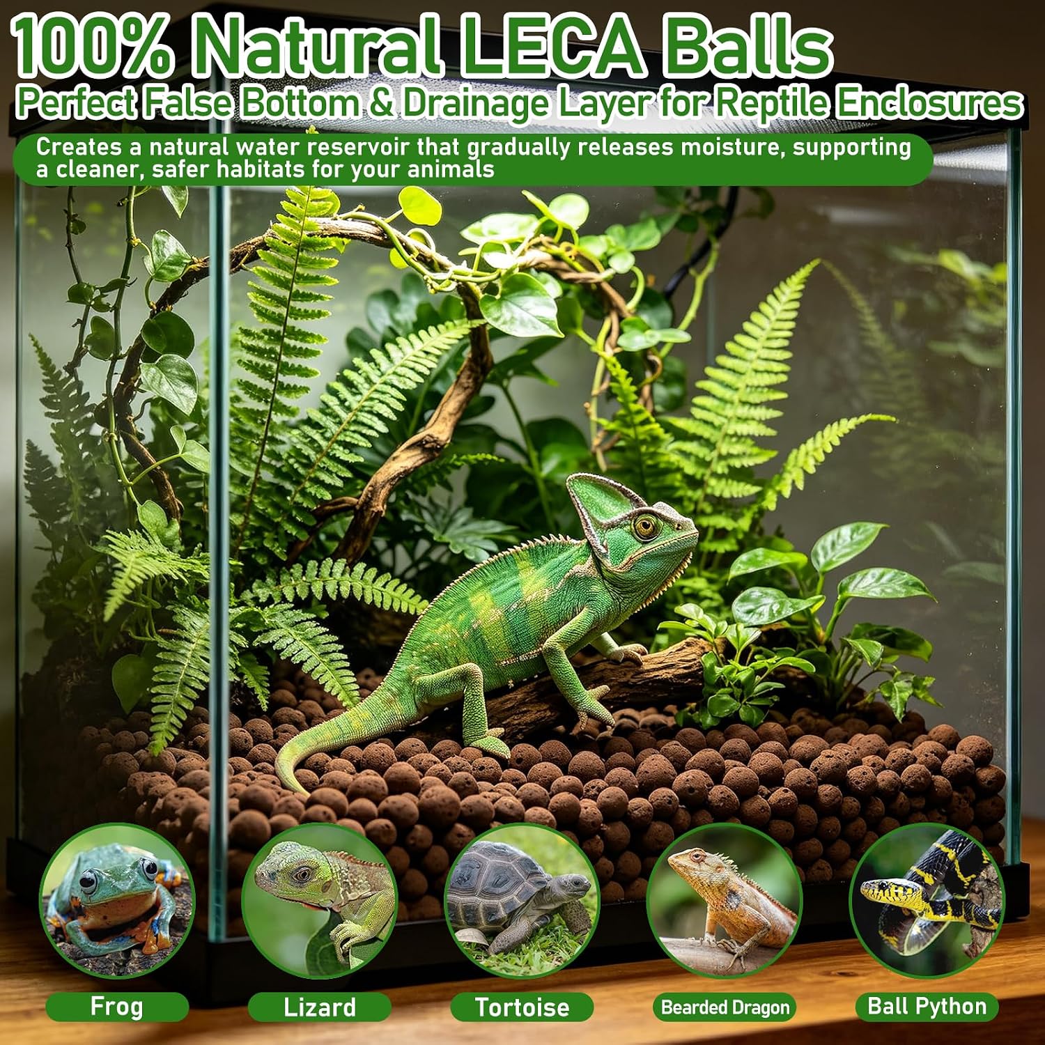 Riare 10LBS Expanded Clay Balls Terrarium Substrate for Reptiles - 100% Organic Lightweight Clay Pebbles Substrate Frogs False Bottom Substrate, Bioactive Terrarium Substrate for Drainage and Moisture - Image 6