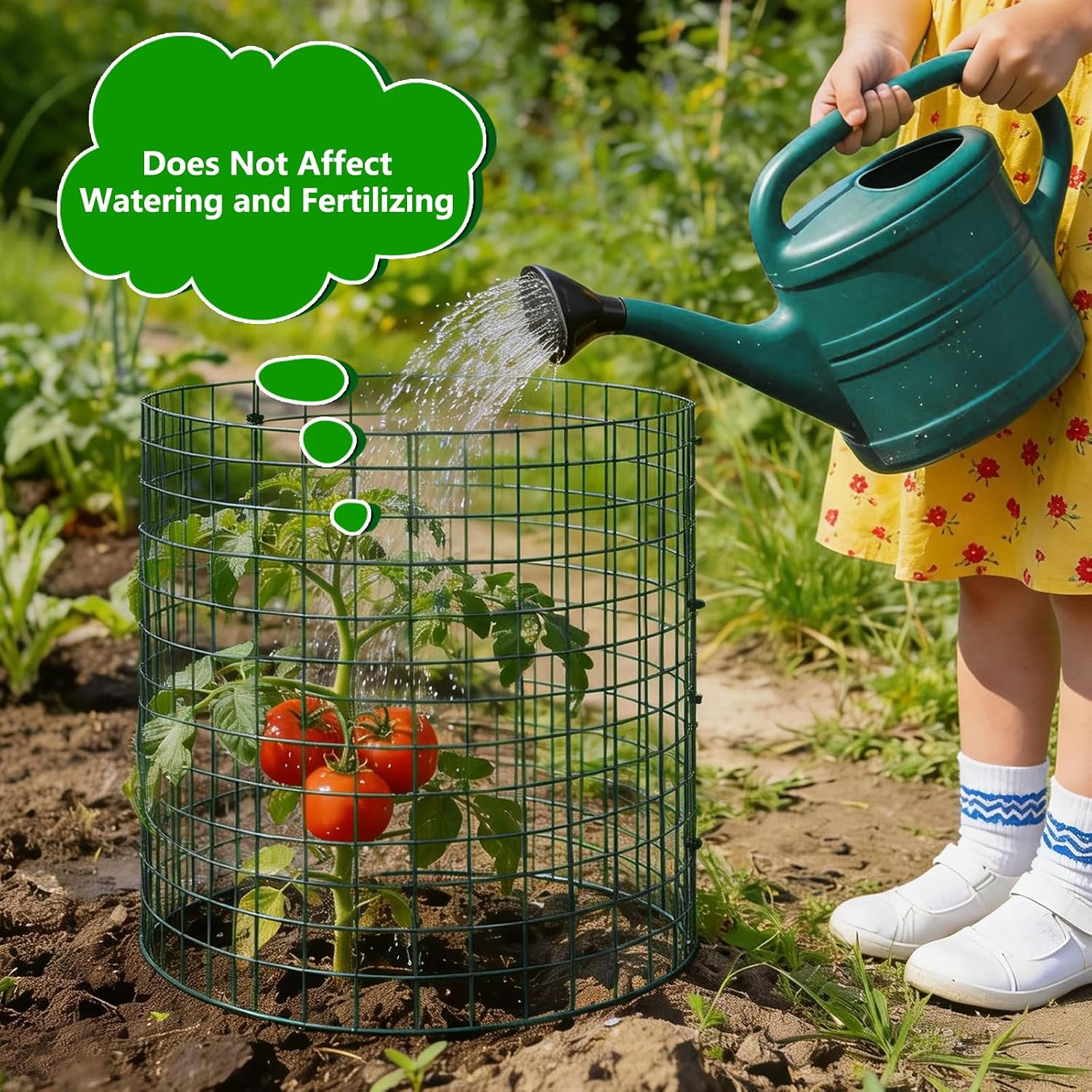 6 Pack 12x12 Inch Plant Protector from Animals, Wire Plant Cages Mesh Garden Plant Protector, Sturdy Wire Cloche Plant Protectors for Keeping Animals Bunny Chicken Squirrels Out - Image 3