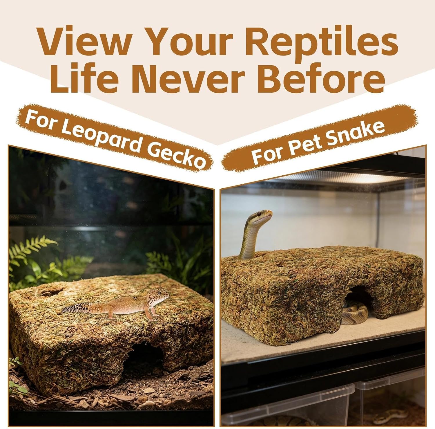 M Size Yellow Moss Cave Hide, Reptile Shelter for Gecko Snake | Moss-textured yellow finish, Supports shedding cycles, Handcrafted durability - Image 6