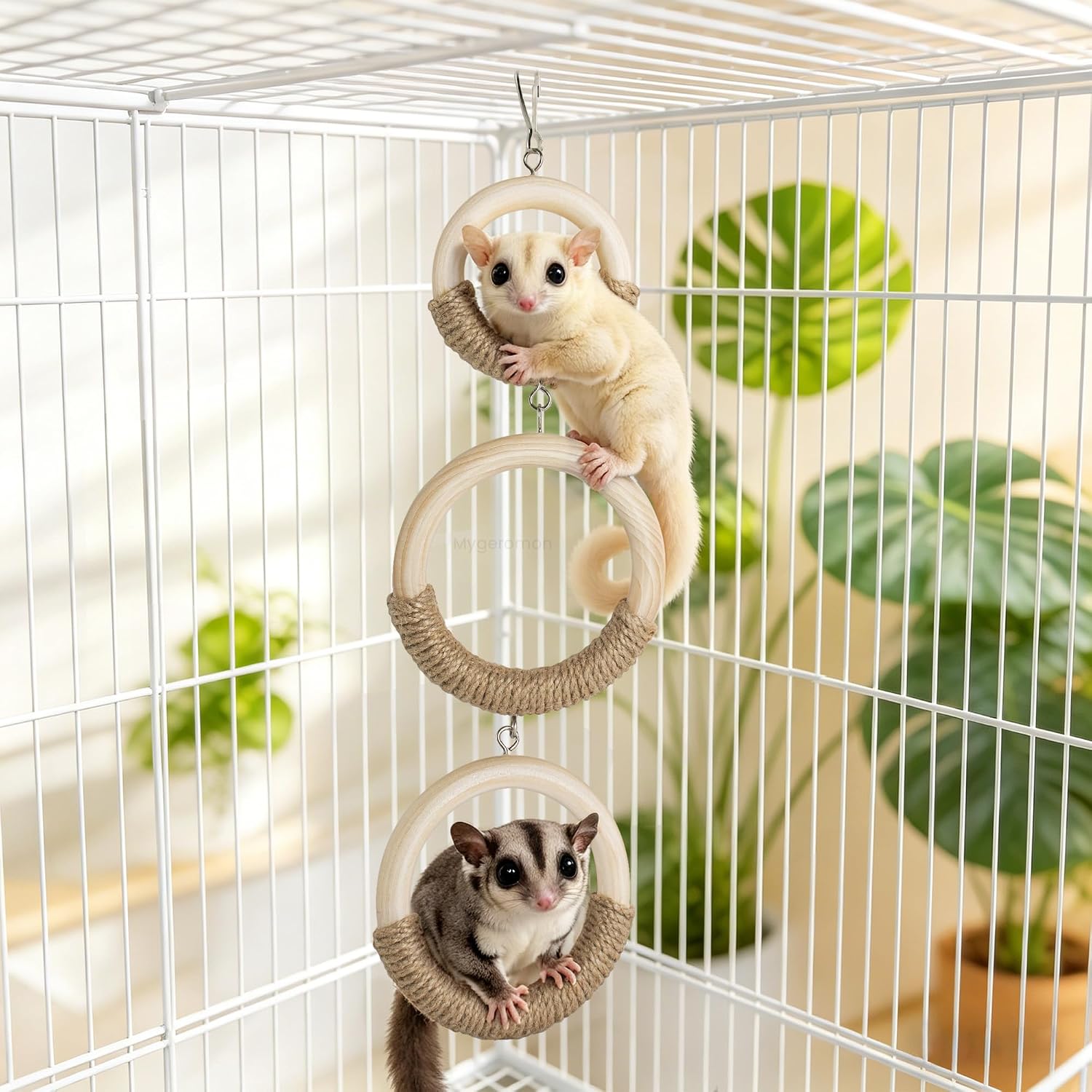 Mygeromon Sugar Glider Toys Climbing Ring Cage Accessories Squirrel Rat Wood Hanging Enrichment Supplies - Image 2