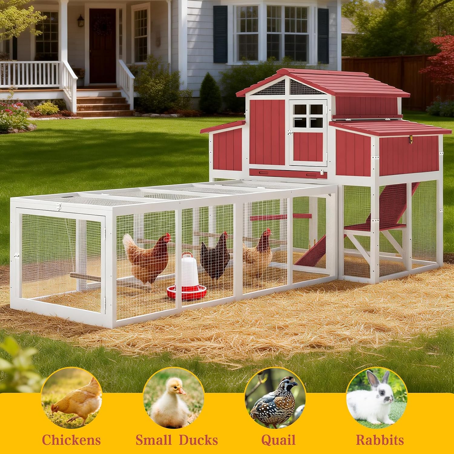 Large Chicken Coop with Run, Outdoor Hen House with 4 Sectionable Nesting Boxes, Poultry Duck House for 4-10 Chickens with 5 Perches, Leakproof Pull-on Tray and Ramp, Red - Image 7