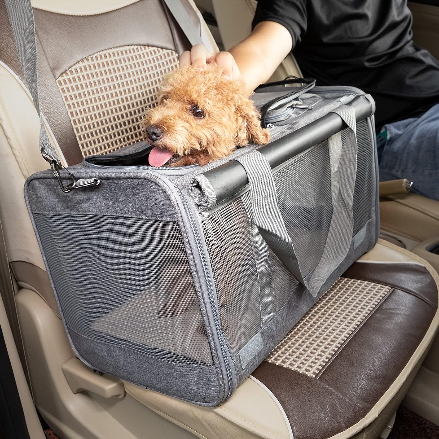 GAPZER Pet Carrier for Large Cats, Soft-Sided Cat Carrier for Medium Big Cats and Puppy up to 20lbs, Washable Dog Carrier Privacy Protection for Home Outdoor Travel - Image 9