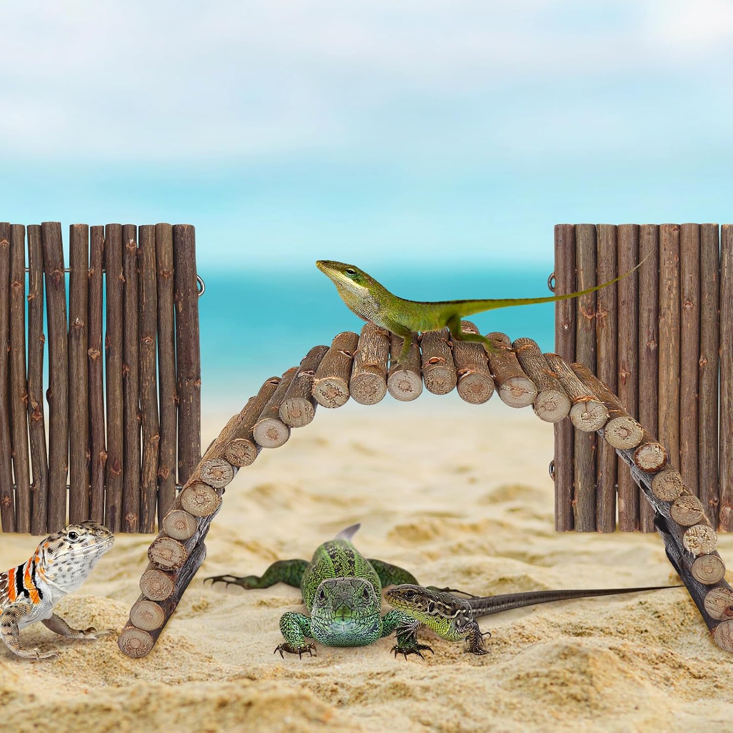 QUOZUO 2PCS Reptile Hideout Hermit Crab Bendable Bridge, Wooden Hermit Crab Hideout Climbing Toys, Reptile Tank Habitat Decor Hiding Hut for Lizards, Mice, Spiders - Image 4