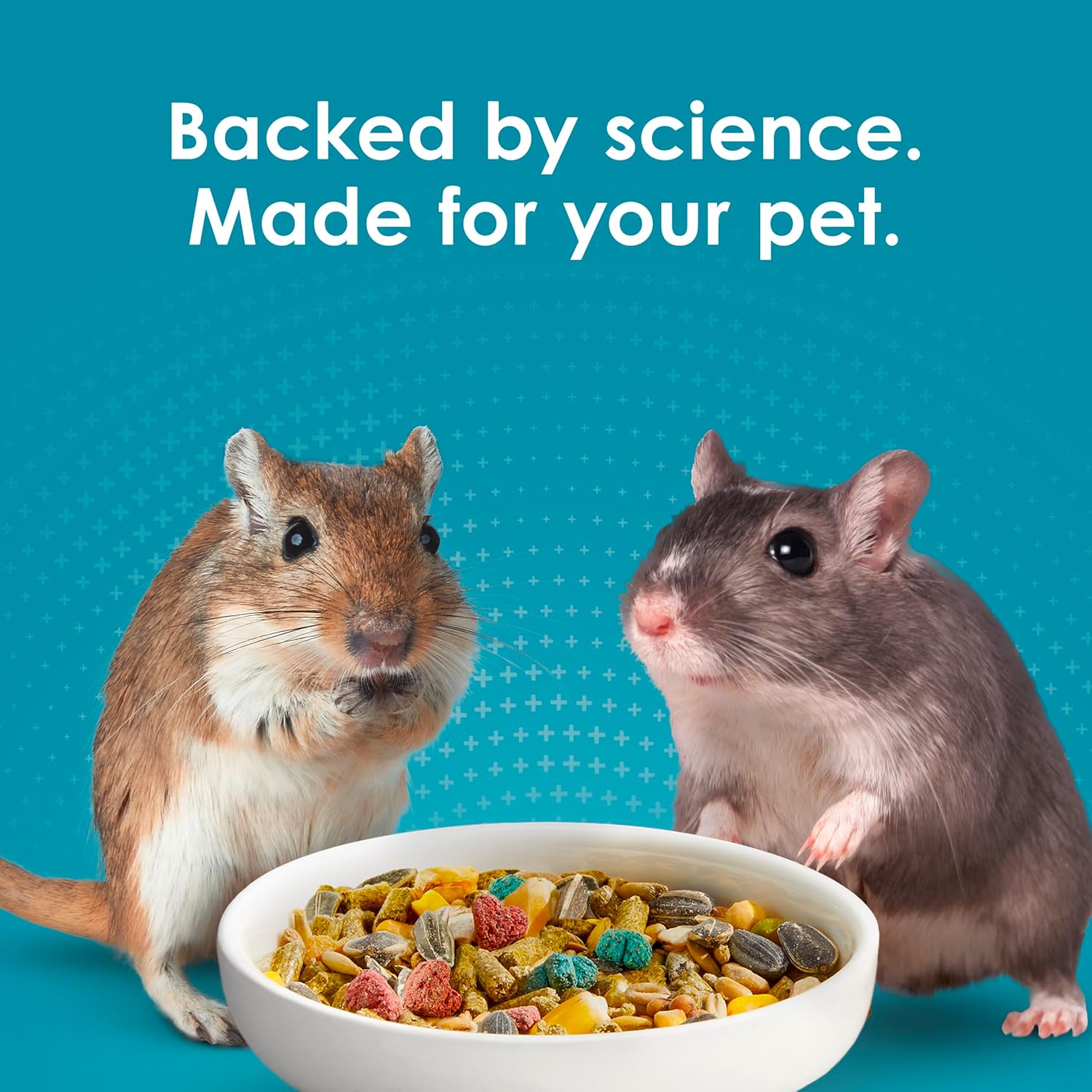 Kaytee Forti-Diet Pro Health Nourish+Protect Hamster and Gerbil Food, Comprehensive Nutrition Backed by Science, Digestive Health, Immune Support, 3 Pounds - Image 11