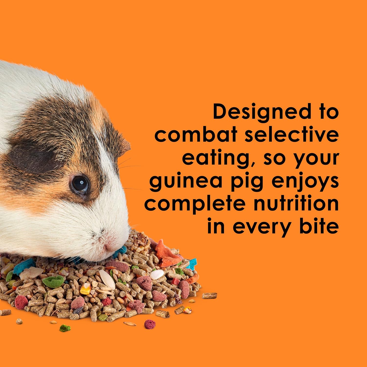 Kaytee Fiesta Guinea Pig Food, Nutritious and Fun Blend, Supports Dental Health and Digestion, 4.5 pounds - Image 4