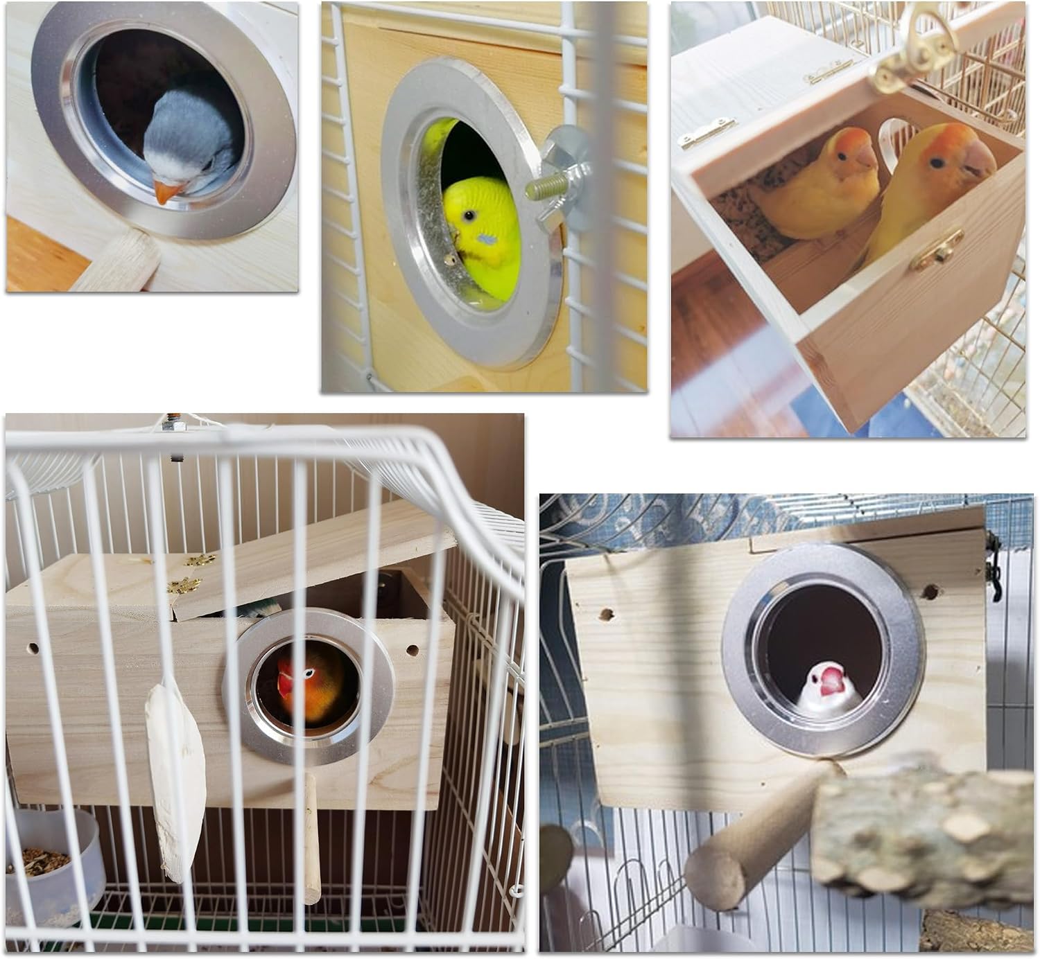 JSLZF Bird Nest, Parakeet Nest Box, Bird Breeding Box with Perch, Wood Budgie Nest Box for Bird, Parrot, Lovebirds, Parrotlet, Finch, Sparrow 7.8” x 4.7” x 4.7” - Image 4
