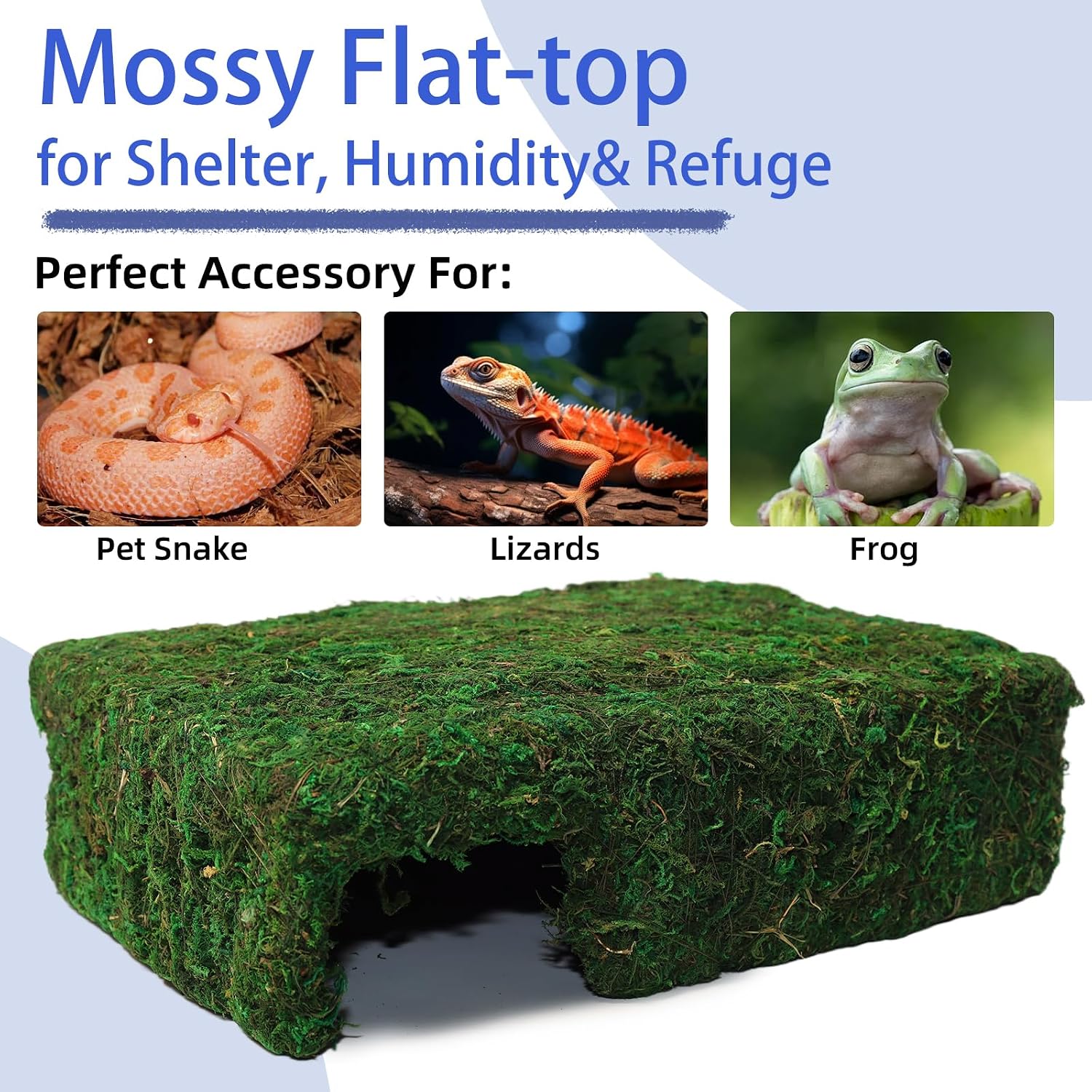 Handmade Reptile Moss Cave M, 9.4" Shelter for Gecko Hamster | Moss reptile cave hide, Smooth edges, no injury, Suitable for humid environments - Image 6