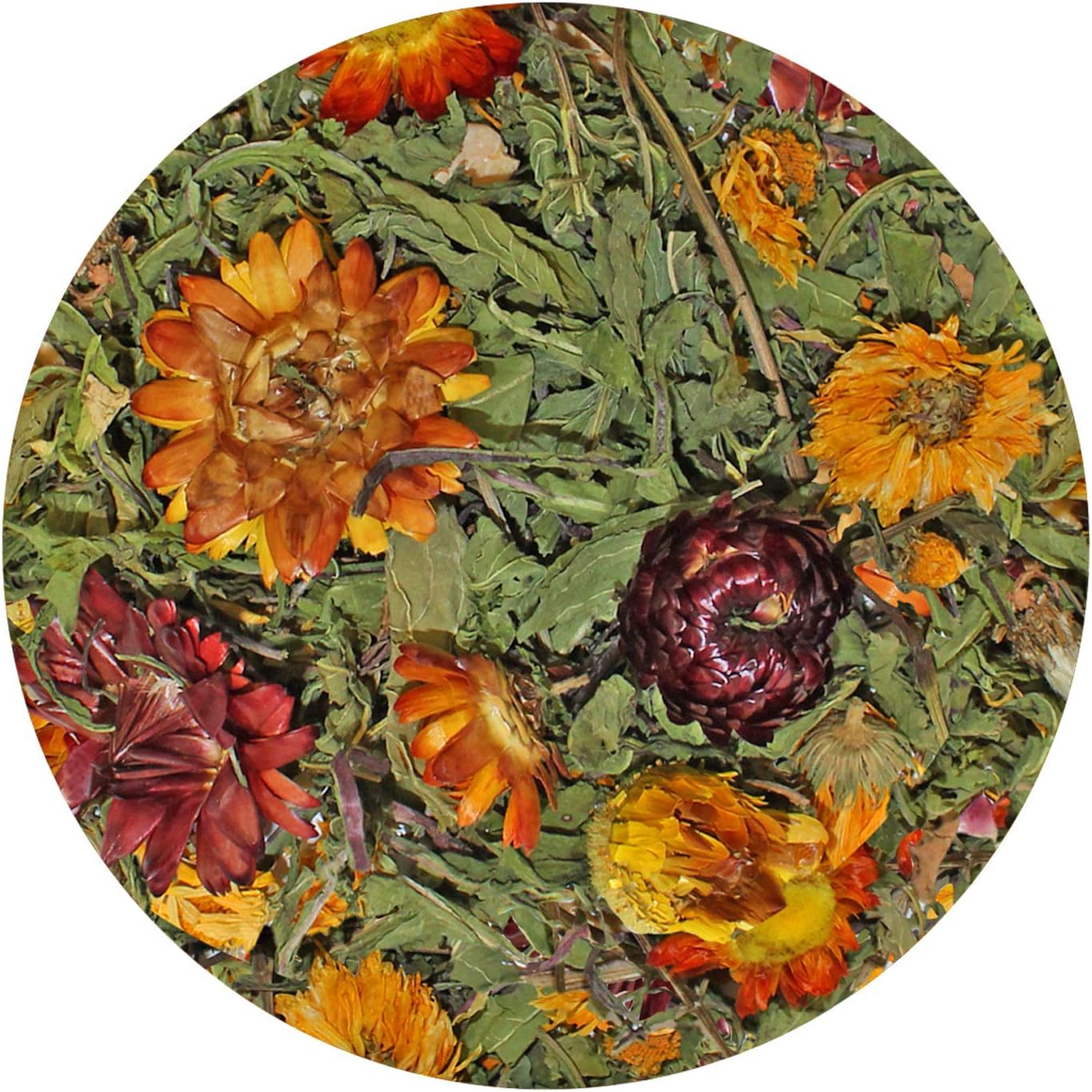 Exotic Nutrition Pasture Plus+ Dandelion Delicacy - Healthy Natural High-Fiber Dried Flower Treat - Guinea Pigs, Rabbits, Chinchillas, Prairie Dogs, Degus, Hamsters, Gerbils & Other Small Pets - Image 2