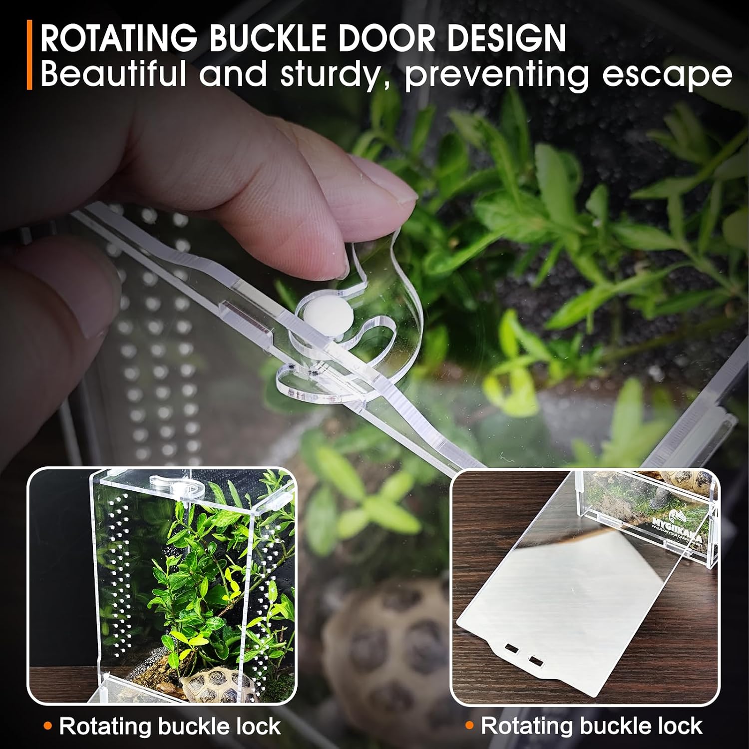 Acrylic Jumping Spider Habitat, Insect Terrarium, Bug Enclosure, Praying Mantis Habitat, Frog Enclosure - Image 5