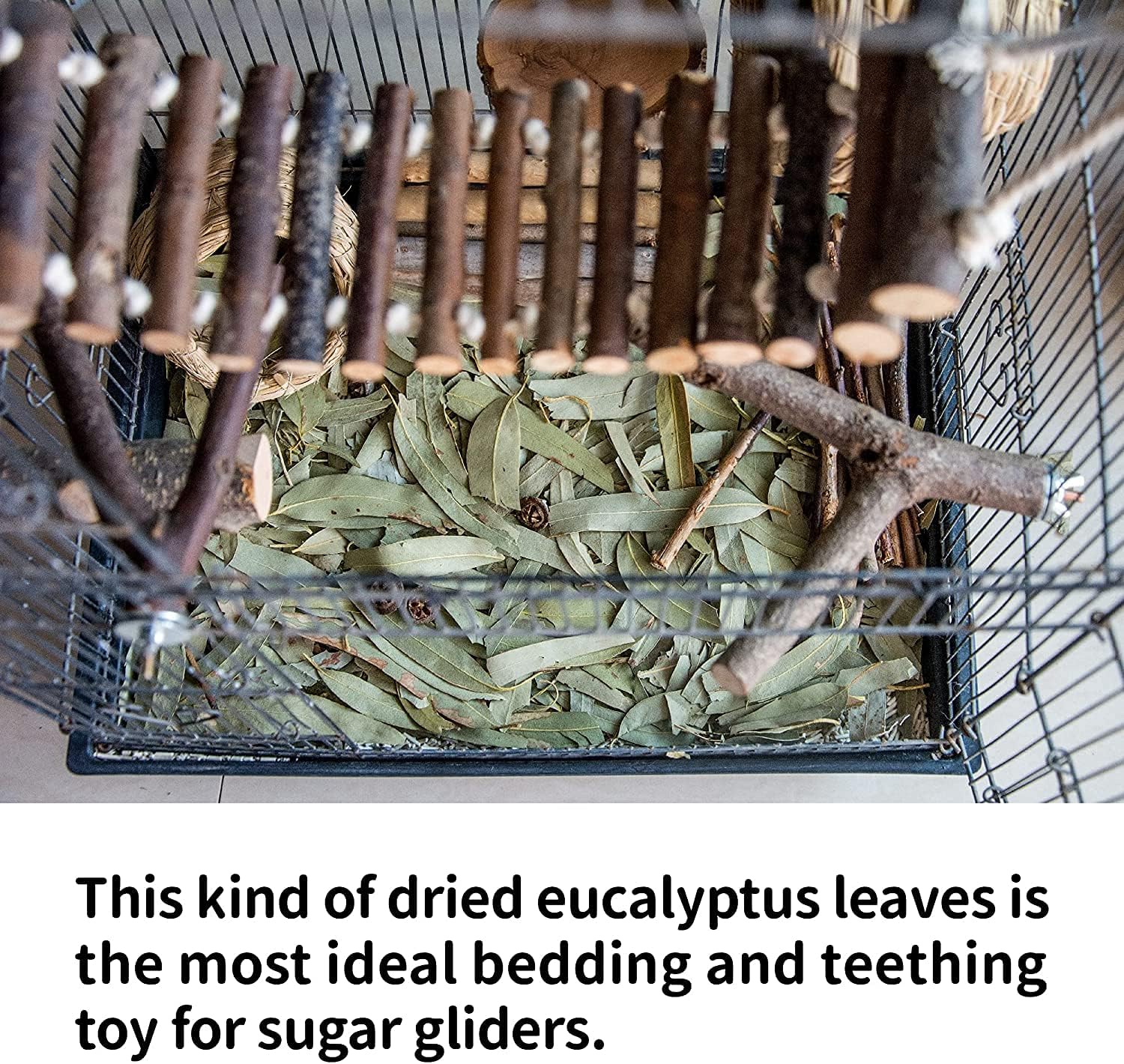 NEOUZA Sugar Glider Small Animal Bedding, Chew Treats, Molar Toys, 7oz/200g Natural Dried Eucalyptus Leaves and Twigs for Sugar Gliders, Aromatic & Decorative Use - Image 3