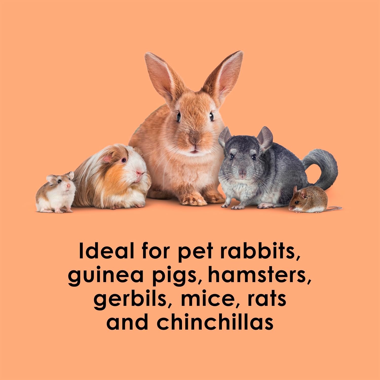 Kaytee Super C Bites Treat For Pet Guinea Pigs, Adult Rabbits, Chinchillas, and Other Small Animals, Cranberry and Orange, 4 oz - Image 5
