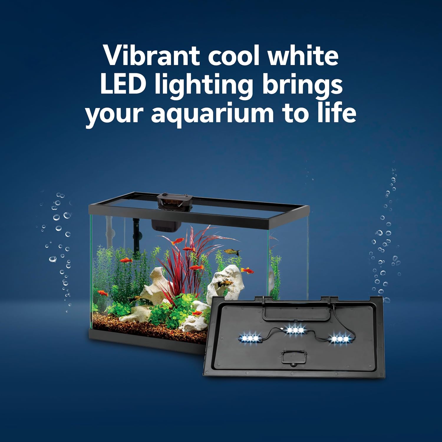 Aqueon Aquarium Starter Kit with Smart Clean Filtration and LED Lighting, Freshwater and Saltwater Fish, Perfect for Tetras, Guppies, Platies, 10-Gallon - Image 4
