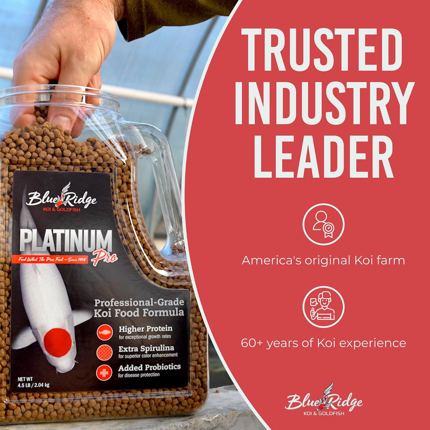 Blue Ridge Koi Fish Food 4.5lb - Koi Food 3/16” Platinum Pro Formula Goldfish Food, Premium Fish Food for Ponds, Ponds Fish Food, Floating Pond Pellet - Image 7