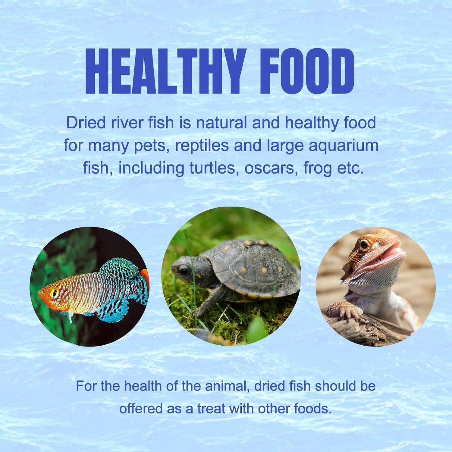 Amzey 2.3 oz Dried River Fish - Natural Food for Turtles, Terrapins, Reptiles and Large Tropical Fish - Image 6