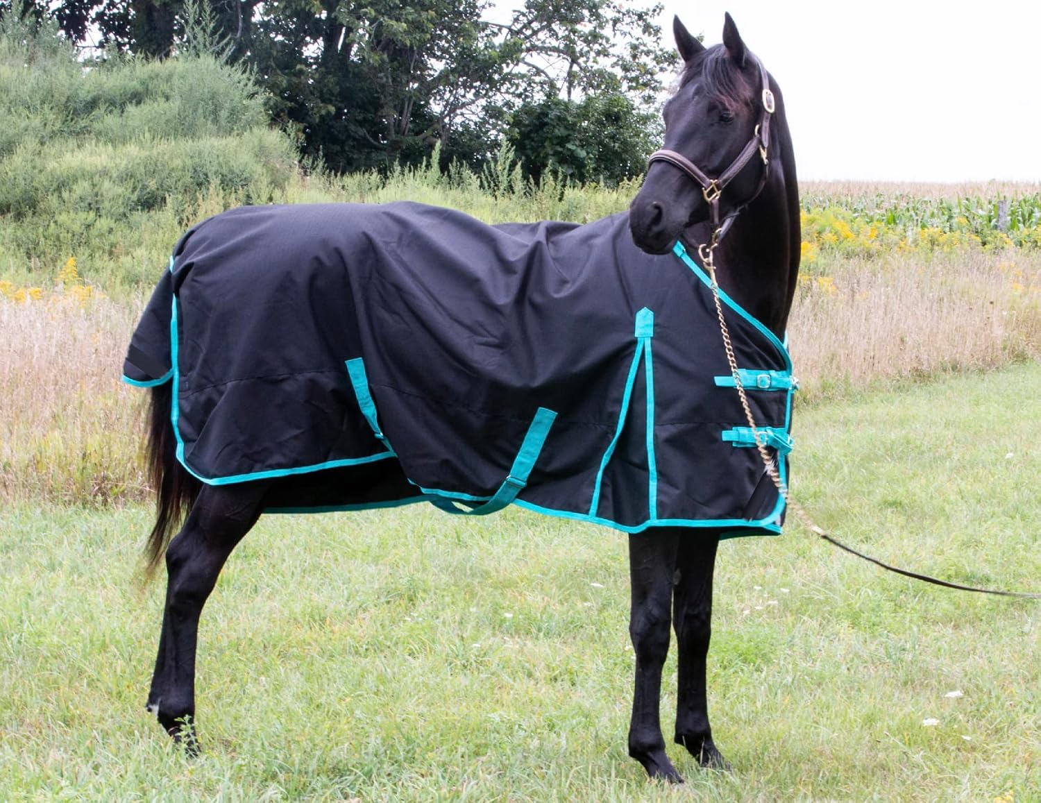 1200 Denier Horse RAIN Sheet (Waterproof/Breathable & Wind Proof Turnout Sheet) Horse Breathable RAINSHEET (Black-Turquoise, 78) - Image 2