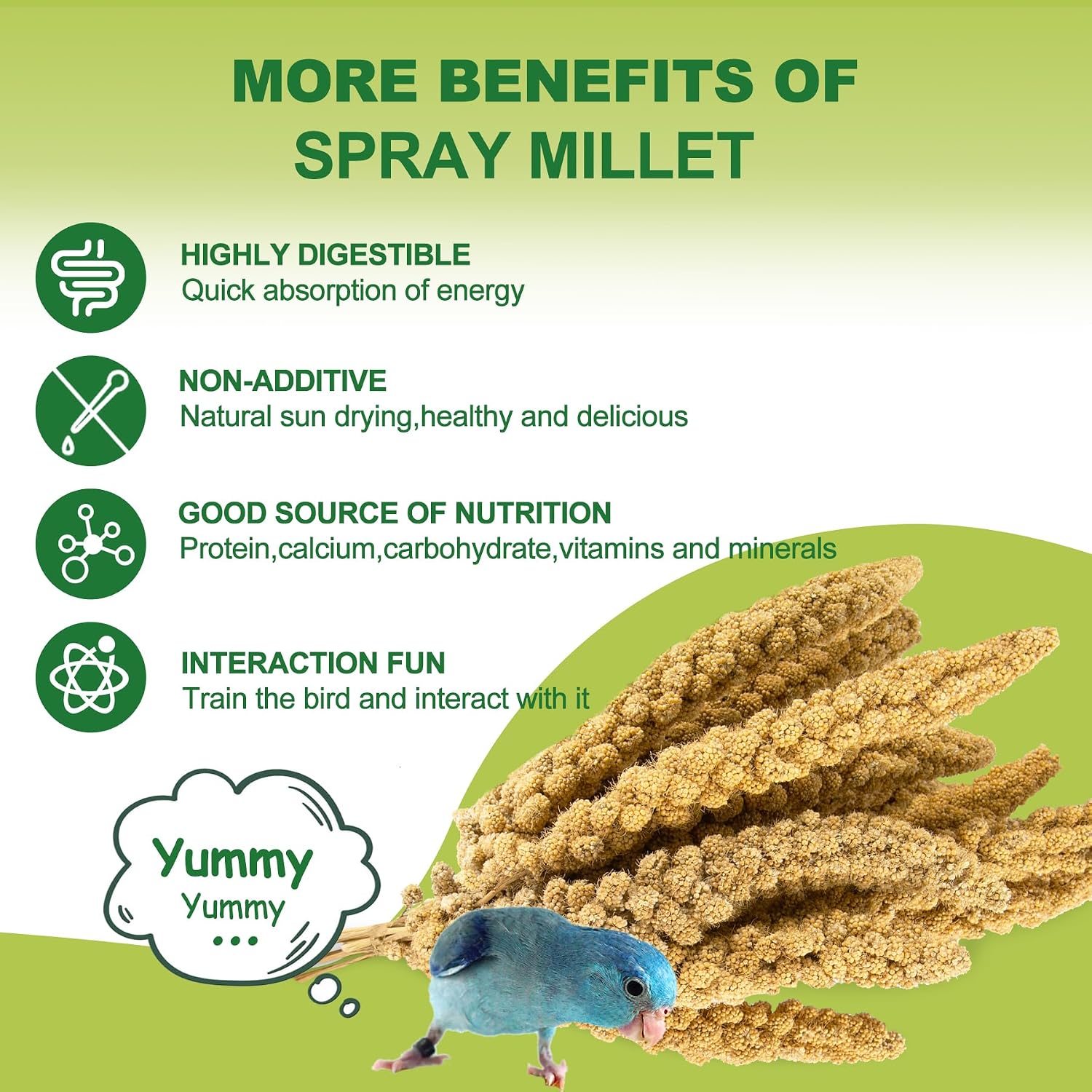 2LB Spray Millet Bird Treat for Parakeets, Natural Sun-Dried Birds Millet Spray for Parrots, Finches, Cockatiel, Budgie & Hamster, Bird Food Bulk - Image 4