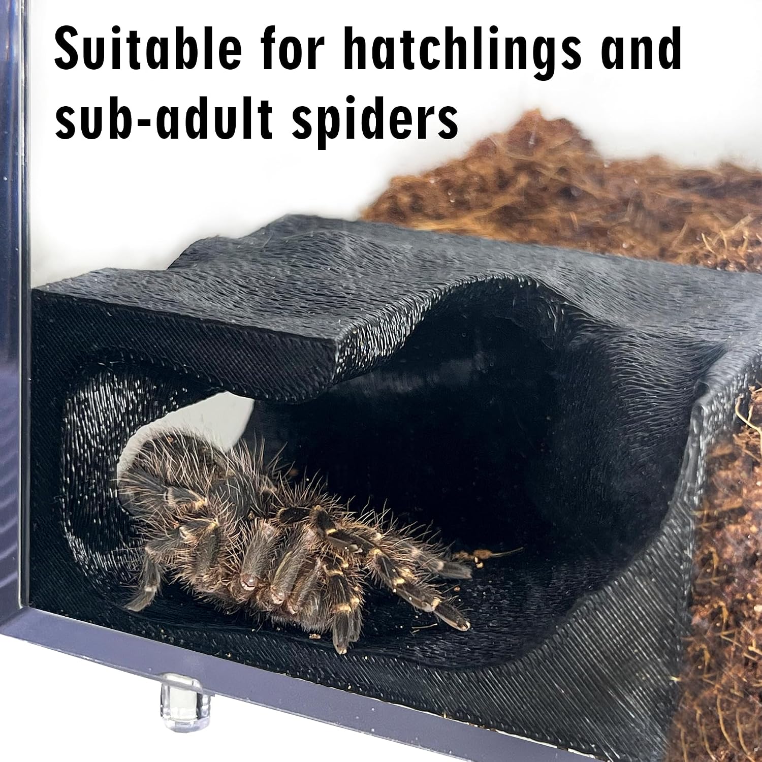 Jumping Spider & Tarantula Sling Hideout Corner Cave, Small Size 2.6" x 2.1" x 1.3", 3D Printed Textured Climbing Habitat with Viewing Window, Small Spider Terrarium Decor - Image 5