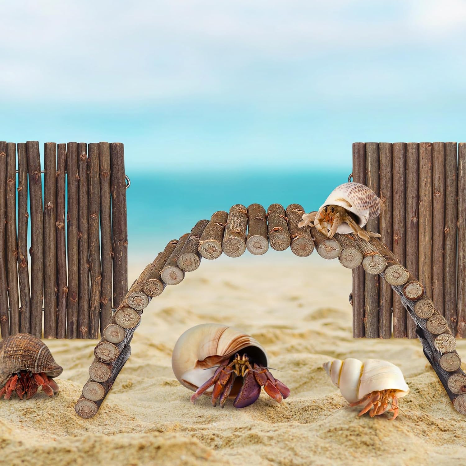 QUOZUO 2PCS Reptile Hideout Hermit Crab Bendable Bridge, Wooden Hermit Crab Hideout Climbing Toys, Reptile Tank Habitat Decor Hiding Hut for Lizards, Mice, Spiders - Image 5