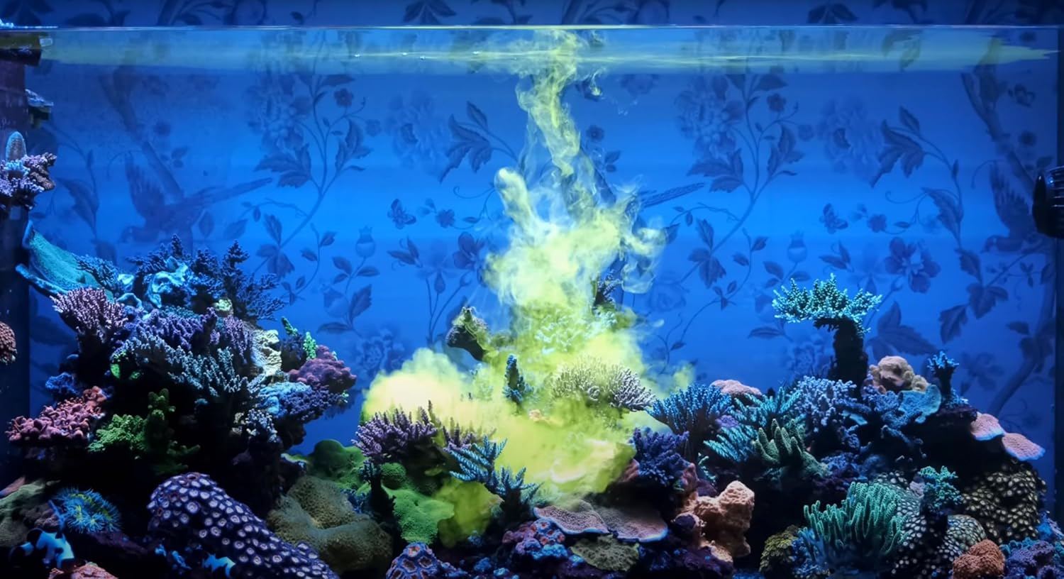 Red Sea Reef Energy Plus 500ml (AB+) All in One Coral Food for Saltwater Aquarium Marine Reef Tanks | Food for Soft, LPS, SPS, and Non-Photosynthetic Corals - Image 6