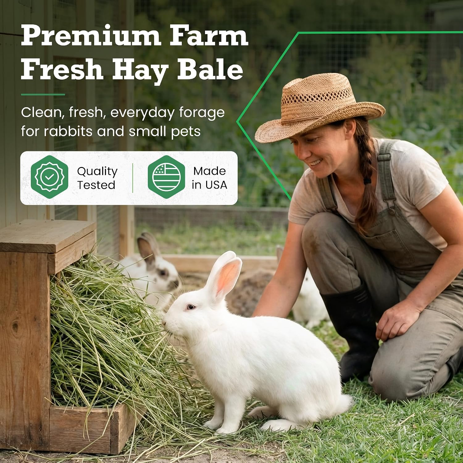 Border Valley Timothy Hay Bale in Bag, 40 lb - High Fiber Grass Hay for Rabbits, Guinea Pigs, Chinchillas, Tortoises, Horses and Livestock - Classic Coarse Grass Hay, Farm-to-Home Freshness - Image 9