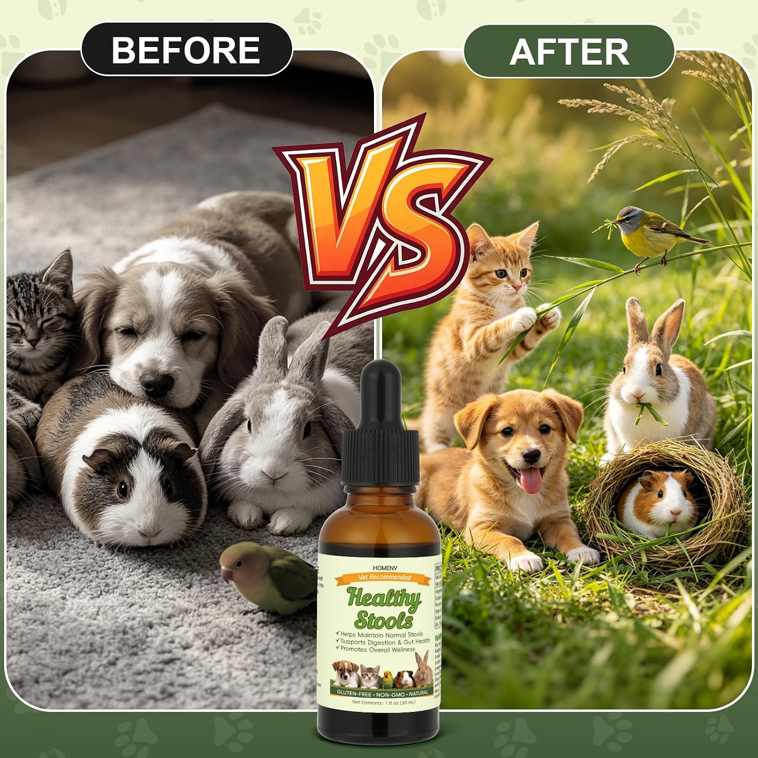 Pet Digestive Supplement, Healthy Stool Support Drops for Dogs, Cats, Birds, Guinea Pigs & Rabbits, Natural Herbs Liquid for Gut Health, Stool Consistency & Sensitive Stomach - 1 oz - Image 4